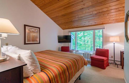 Stratton Mountain Ski House Hot Tub Sauna Shuttle - Foto 11