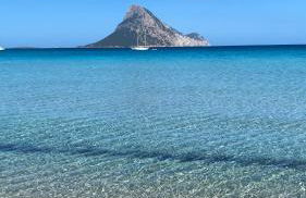 Stella di Mare - Foto 14