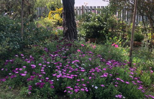 Les Fleurs De Lys, Villa Chic L'enclos Des Lys, Proche de la Mer - Foto 34