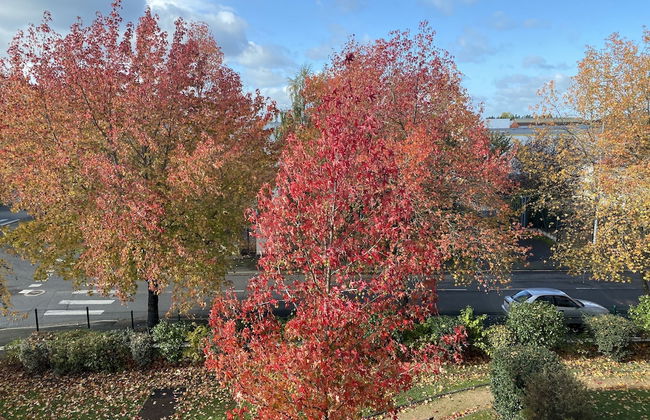 Domitys Les Rives du Cher - Foto 31