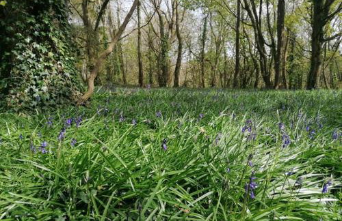 Pebble Cottage - Foto 24