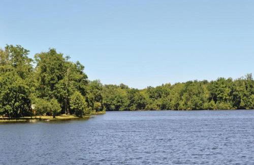 Holiday Home in Loubigne With Pool & Terrace - Foto 71