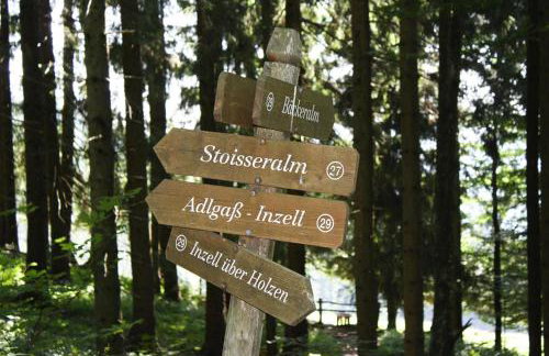 Bergchalet Falkenstein, Inzell - Foto 35