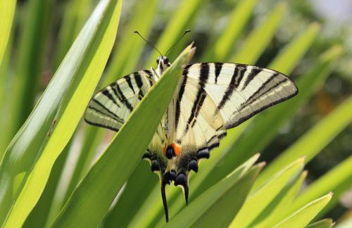 Apartments Marer - Foto 44