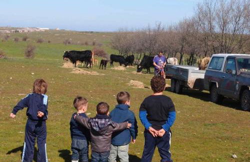 Agroturismo El Mirador de la Cigüeña - Foto 52