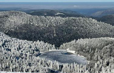 L'écureuil des lacs - Foto 2