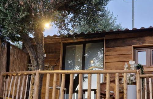 maison du olival - Foto 15