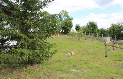 Agroturystyka A&G Dubeninki - Foto 47