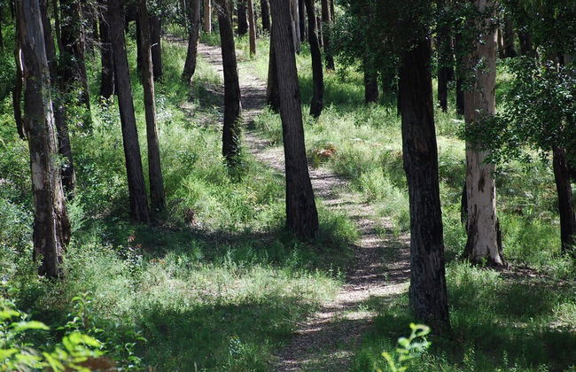 Wildside Sanctuary - Foto 49