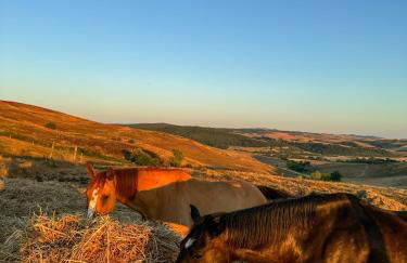 Agriturismo Re Tarquinio - Foto 6