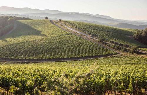 Wine Resort Dievole - Foto 17