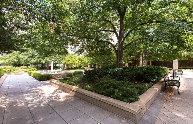 Fantastic Condo with Gym in Crystal City - Foto 52