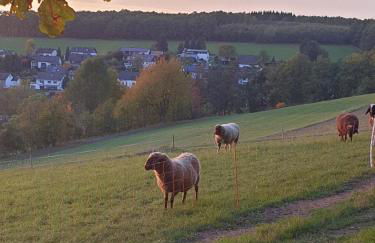 Andinas Ferienwohnung in ruhiger Lage direkt am Wald - Foto 7