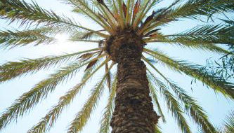 Casa del Canto, Calapanizo - Foto 4