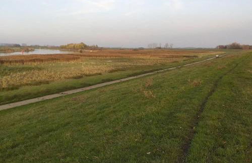 Holiday Home Haus Am Emsdeich by Interhome - Foto 25