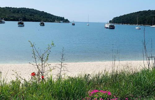 Mobile Homes Karlo & Dino - Photo 37