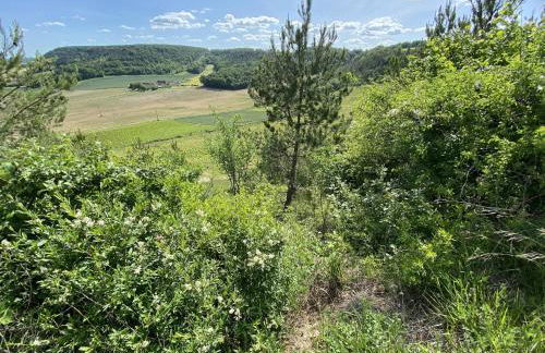 Boutique Holiday Home in Bouix With Garden - Foto 40