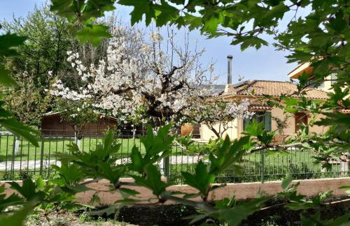 The Lake House'' -Trichonida Lake - Foto 35