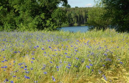 Ferienwohnungen Ströhlein - Foto 21