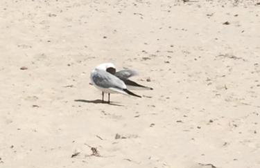 Apartament Pogo II - Foto 26