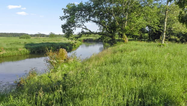 "Beatha" - 25km to the fjord - Foto 3, Place