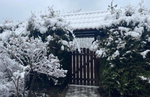 Ranch Falcone - Foto 46