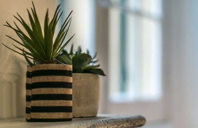 Family Apartments San Lorenzo - Foto 24