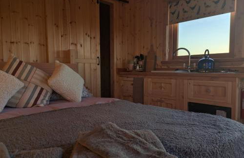 Hafan Gelli Sheperds Hut - Tudwal - Photo 7