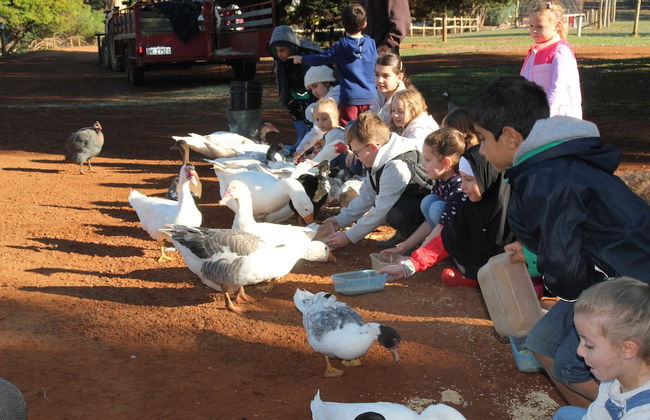 Pump Hill Farm Cottages - Photo 43