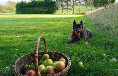 The Stables at Eriviat Hall - Foto 67