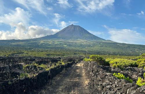 Welcome to Casa Fitz with Ocean Views and Air Conditioning - Photo 33