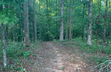 In the Woods by a Pond! Sugar Ranch Guest House! - Foto 10