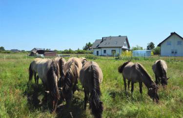 Gospodarstwo agroturystyczne ,, Pod Dębem'' - Foto 46