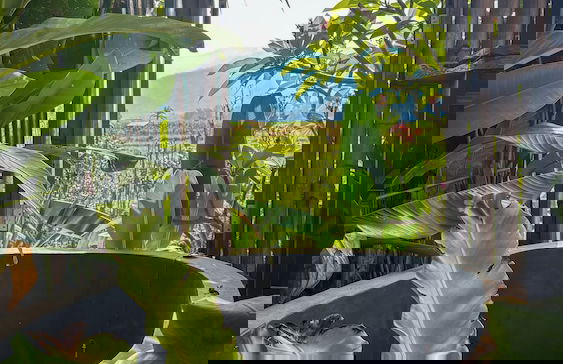 Deetorjai FarmStay Nan - Photo 62