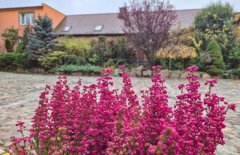 2 Bedroom Amazing Apartment In Obryta - Foto 10