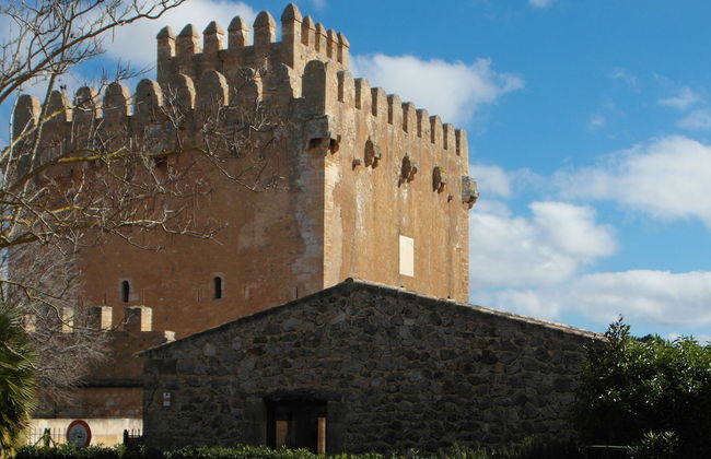 Apartamentos Sureda - Foto 59