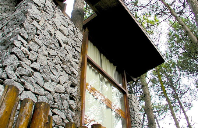 Altos Medanos - Cabañas y Club de Bosque - Foto 46
