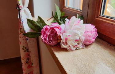 Giardino degli ulivi - Foto 6