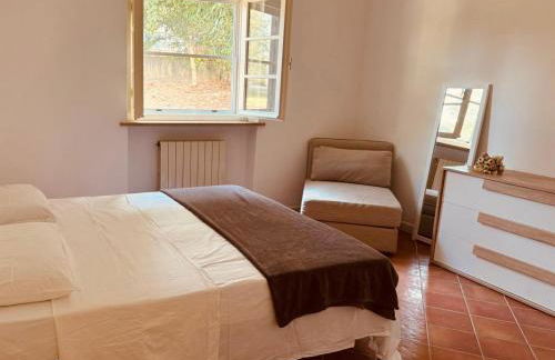 Villa Lorenzana - Foto 9