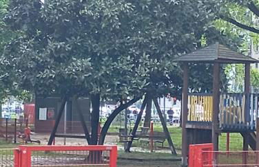 Flores Home, Boho Chic Style & Urban Comfort Navigli, Bocconi, Centro - Foto 47