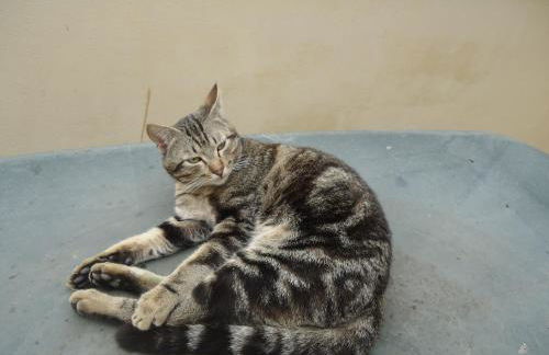 Agriturismo I Monti di Salecchio - Foto 37