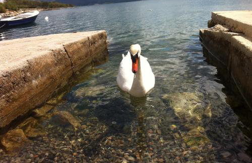 Apartments Frigan - Foto 18