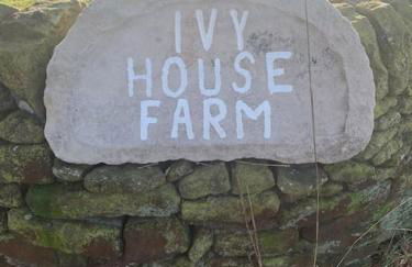 Ivy House - Foto 16