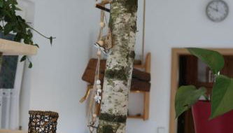 Apartment Anita by Interhome - Foto 5