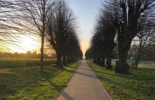 Reethus Linda - Foto 30