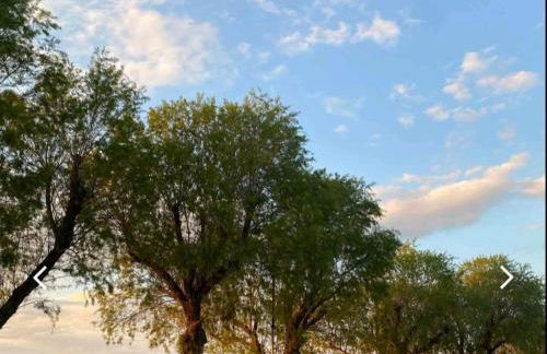 Kalendes home - Foto 7