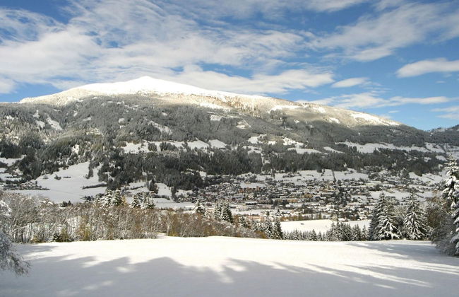 Apartment in Lungau Near Ski Lift - Foto 24