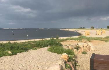 Am kleinen Mühlenteich - Zentrale ruhige Lage mit Parkplatz und Fahrrädern - Foto 21