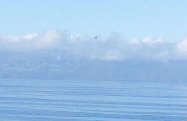 Intact Farm Resort - Photo 30