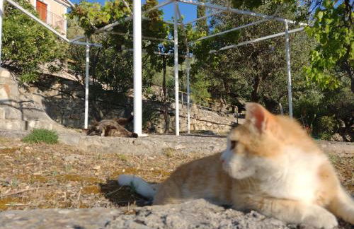 IthakiHouse II - Foto 47